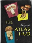 Kapesní atlas hub - Pom. kniha pro zákl. devítileté školy, stř. všeobec. vzdělávací a pedagog. školy - náhled