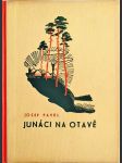 Junáci na Otavě - příhody z prázdninové osady junáků - náhled