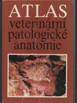 Atlas veterinární patologické anatomie - náhled