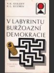 V labyrintu buržoazní demokracie - náhled