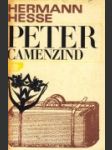 Peter Camenzind - náhled