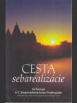 Cesta sebarealizácie - náhled