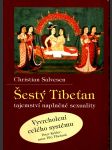 Šestý tibeťan - náhled