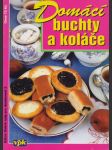 Domácí buchty a koláče - náhled