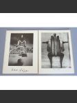 Libor Fára 1925-1988 [surrealismus; umění; katalog Nancy] - náhled