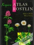 Kapesní atlas rostlin - náhled