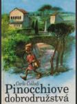 Pinocchiove dobrodružstvá - náhled