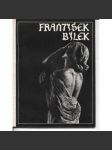 František Bílek - výbor z díla (katalog výstavy) - náhled