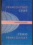 Francouzsko český a česko francouzský kapesní slovník - náhled