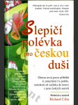 Slepičí polévka pro českou duši - další povídky a příběhy pro potěchu srdce a posílení ducha - náhled