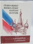 Česko-ruský a rusko-český kapesní slovník - náhled