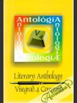 Literary anthology Visegrad 4 countries - náhled