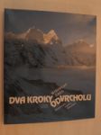 Dva kroky od vrcholu - horolezecká expedice Dhaulágiri 1984 - náhled