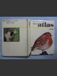 Kapesní atlas ptáků : pomocná kniha pro zákl. devítileté školy, střední všeobec. vzdělávací, zeměd. a pedagog. školy - náhled