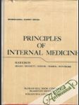 Principles of internal medicine - náhled