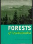 Forests of Czechoslovakia - náhled