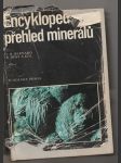 Encyklopedie minerálů - náhled