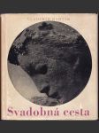 Svadobná cesta  - náhled