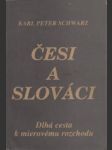 Česi a Slováci. Dlhá cesta k mierovému rozchodu - náhled