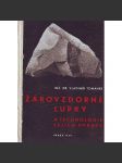 Žáruvzdorné lupky a technologie jejich úpravy (geologie, zpracování nerostných surovin, šamot) - náhled