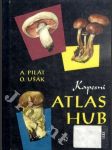 Kapesní atlas hub - pomocná kniha pro základní devítileté školy - náhled