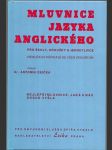 Mluvnice jazyka anglického - Pro školy, kroužky a jednotlivce - Příručka k přípravě ke všem zkouškám - náhled