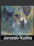 Jaroslav Koliha - náhled