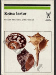 Krása lastur - náhled