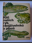 Klíč našich ryb, obojživelníků a plazů - pomocná kniha k učebnicím zoologie všeobec. vzdělávacích, stř., odb. a vys. škol - náhled