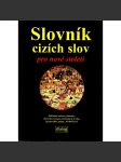 Slovník cizích slov pro nové století - náhled