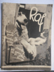 Raf - Obrázkový deník bernardýna Rafa, kočky Míny a malé Krasavice, foxteriéra Ferdy a jejich přátel - Vážné i veselé vyprávění o zvířatech se 110 obrázky - náhled