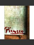 Picasso v československu - náhled