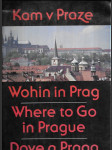 Kam v Praze a okolí - Wohin in Prag und Umgebung / Where to Go in and around Prague / Dove a Praga e nelle sue vicinanze - náhled