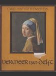 Vermeer van Delft: Das Meisterwerk - náhled