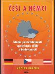 Češi a Němci – Studie proveditelnosti společných dějin a budoucnosti - náhled