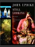 Still looking - essays on american art  - náhled