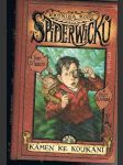 Kronika rodu spiderwicků - kniha 2 - kámen ke koukání - náhled