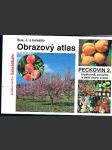 Obrazový  atlas - peckoviny 2. - broskvoně, meruňky a další druhy  ovoce - náhled