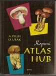 Kapesní  atlas  hub - náhled