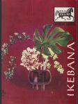 Ikebana - náhled