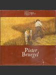 Pieter  bruegel - náhled