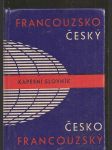 Francouzsko  český   a  česko  francouzský  kapesní  slovník - náhled
