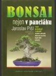 Bonsai nejen v paneláku - v bytě, na balkoně, v zahradě, asijské zahrady, okrasná jezírka, suiseki - náhled