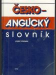 Česko - anglický  slovník - náhled