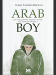 Arab boy - - jak se žije arabským chlapcům v evropě aneb krátký život rašída a. - náhled