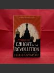 Calight in the revolution - náhled