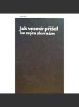 Jak vesmír přišel ke svým skvrnám (deník o konečném čase a prostoru) - náhled