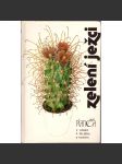 Zelení ježci (kaktusy) - náhled