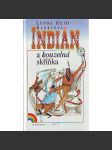 Indián a kouzelná skříňka - náhled