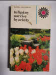 Tulipány, narcisy, hyacinty - náhled